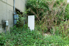 P1050566