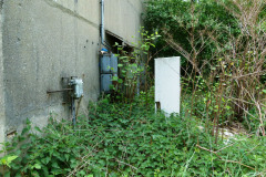 P1050567