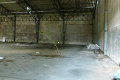 P1050575