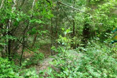 P1050577
