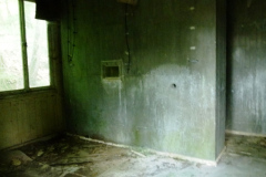 P1050582