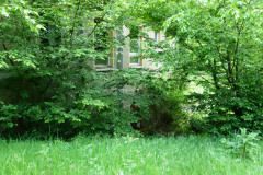 P1050586