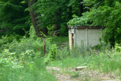 P1050588