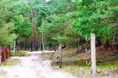 P1090008