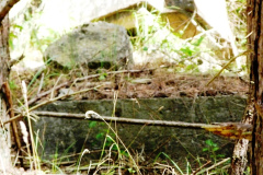 P1090017