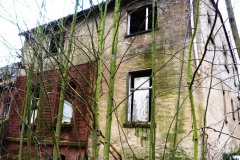 P1100017