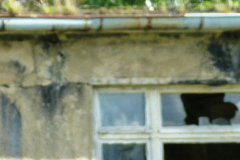 P1050363
