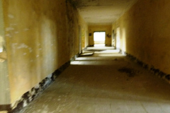P1050379