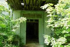 P1050390