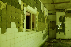 P1050396