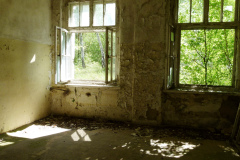P1050398
