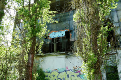 P1050407