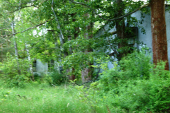 P1050428